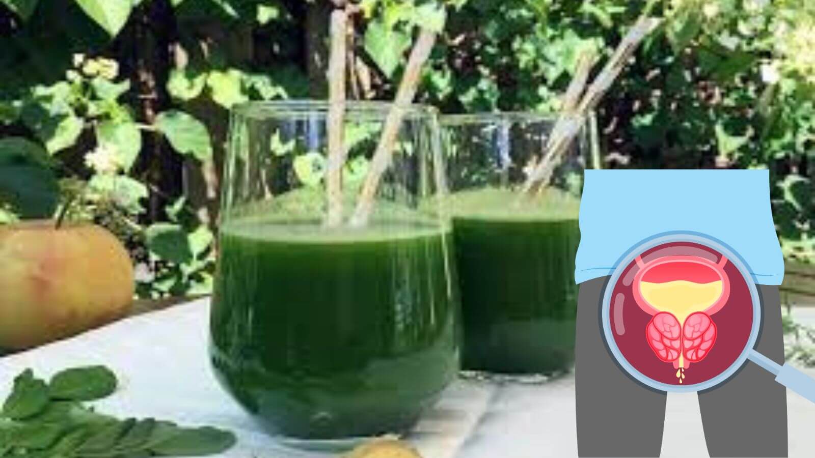 Cách chữa vô sinh nam tại nhà đơn giản hiệu quả với nước rau ngót