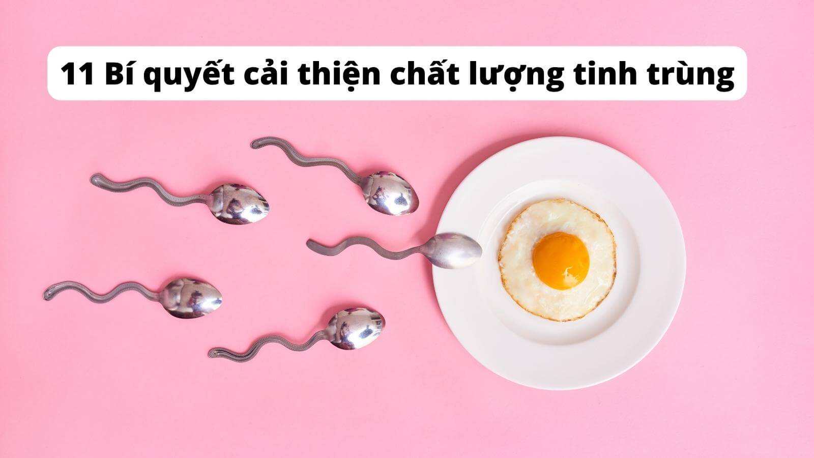 10+ bí quyết cải thiện chất lượng tinh trùng vợ chồng cần biết