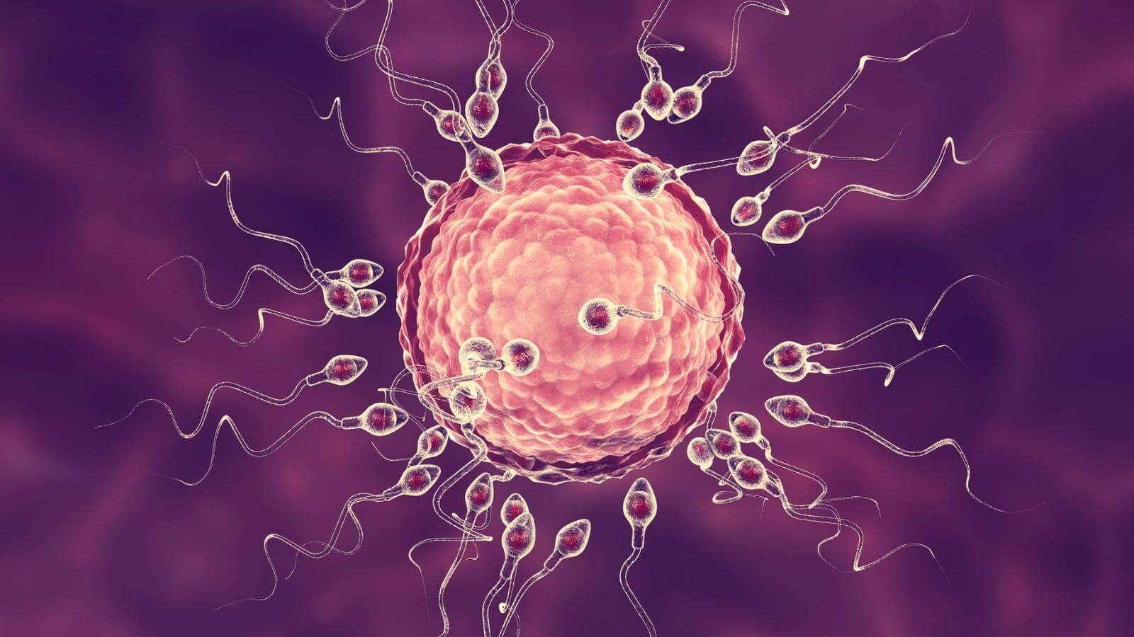 Sức khỏe tinh trùng được đánh giá bằng nhiều yếu tố