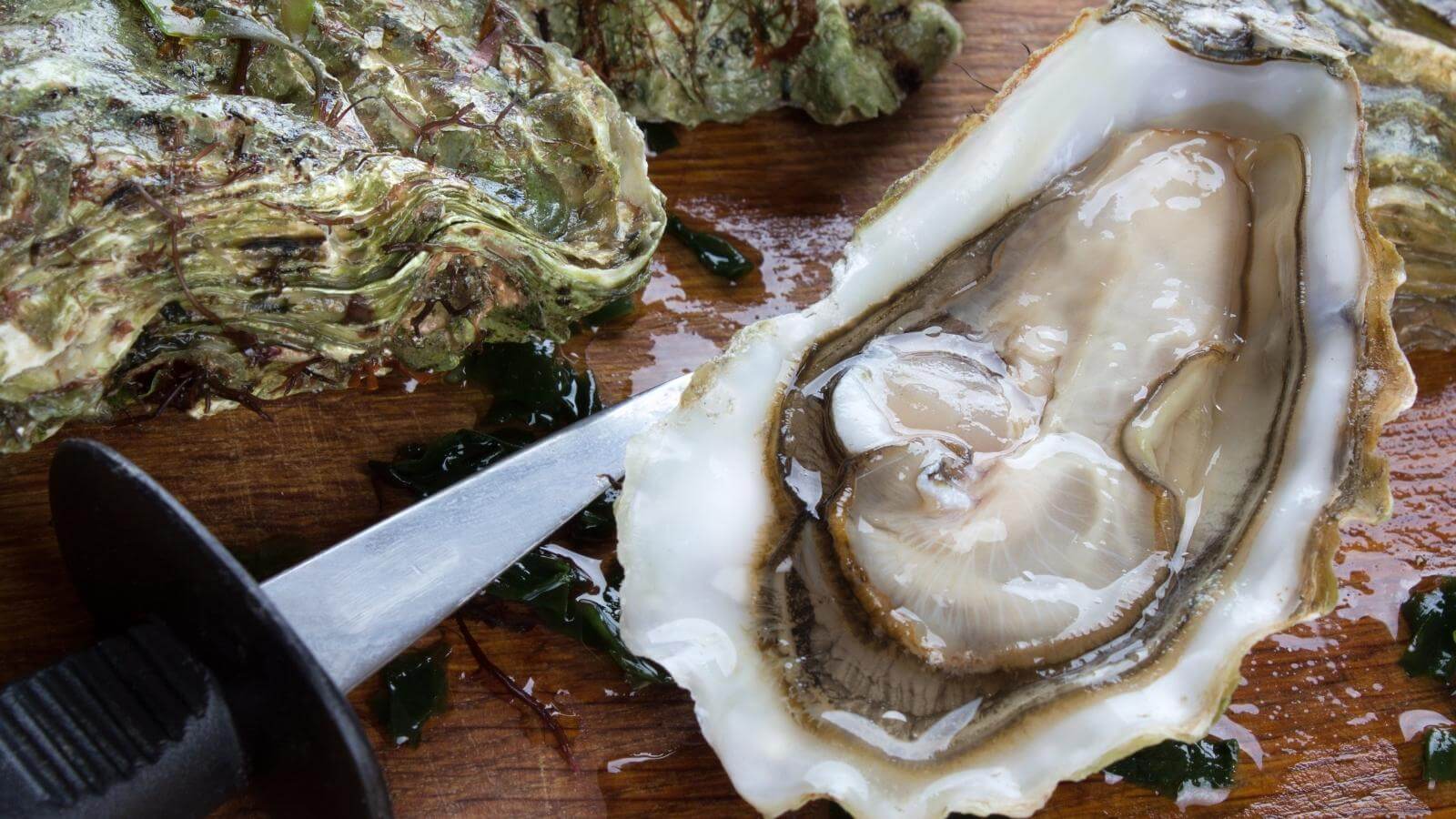 Hàu là thực phẩm tự nhiên chứa hàm lượng Kẽm rất lớn