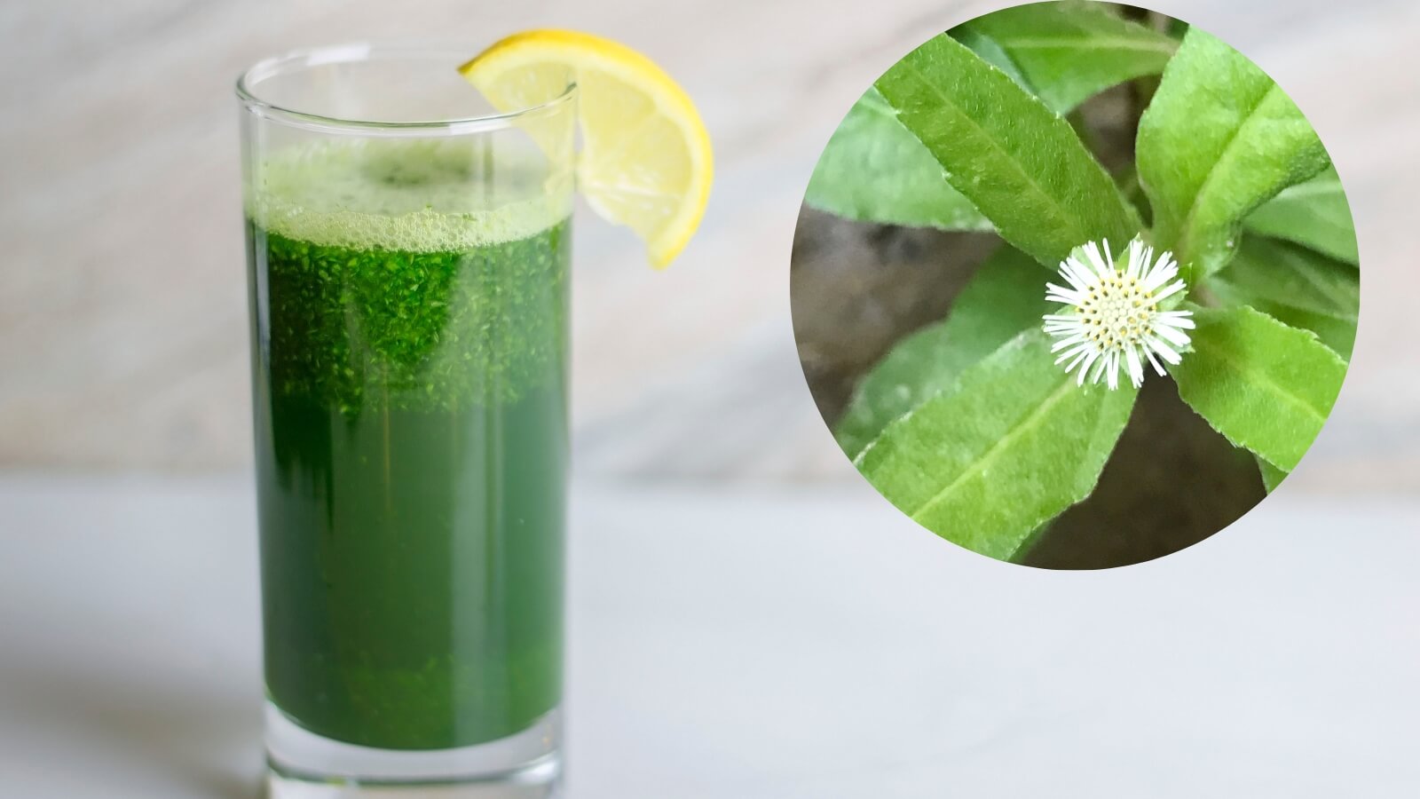 Bài thuốc từ rau mương chữa dạ dày - Nước cốt rau mương