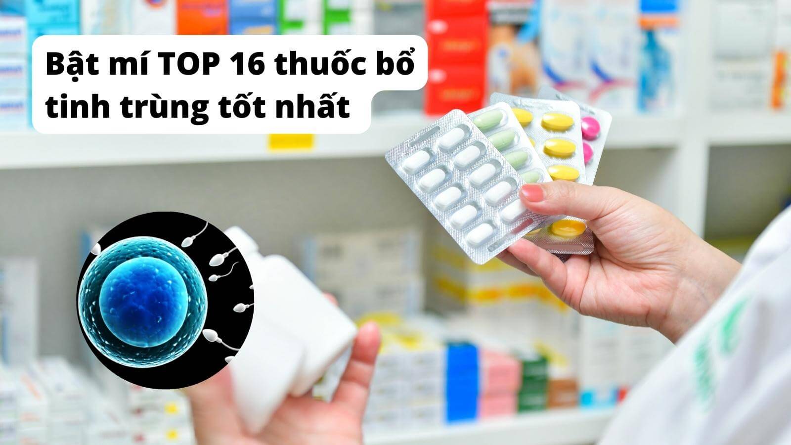 [Bật mí] TOP 21 thuốc bổ tinh trùng tốt nhất 2023