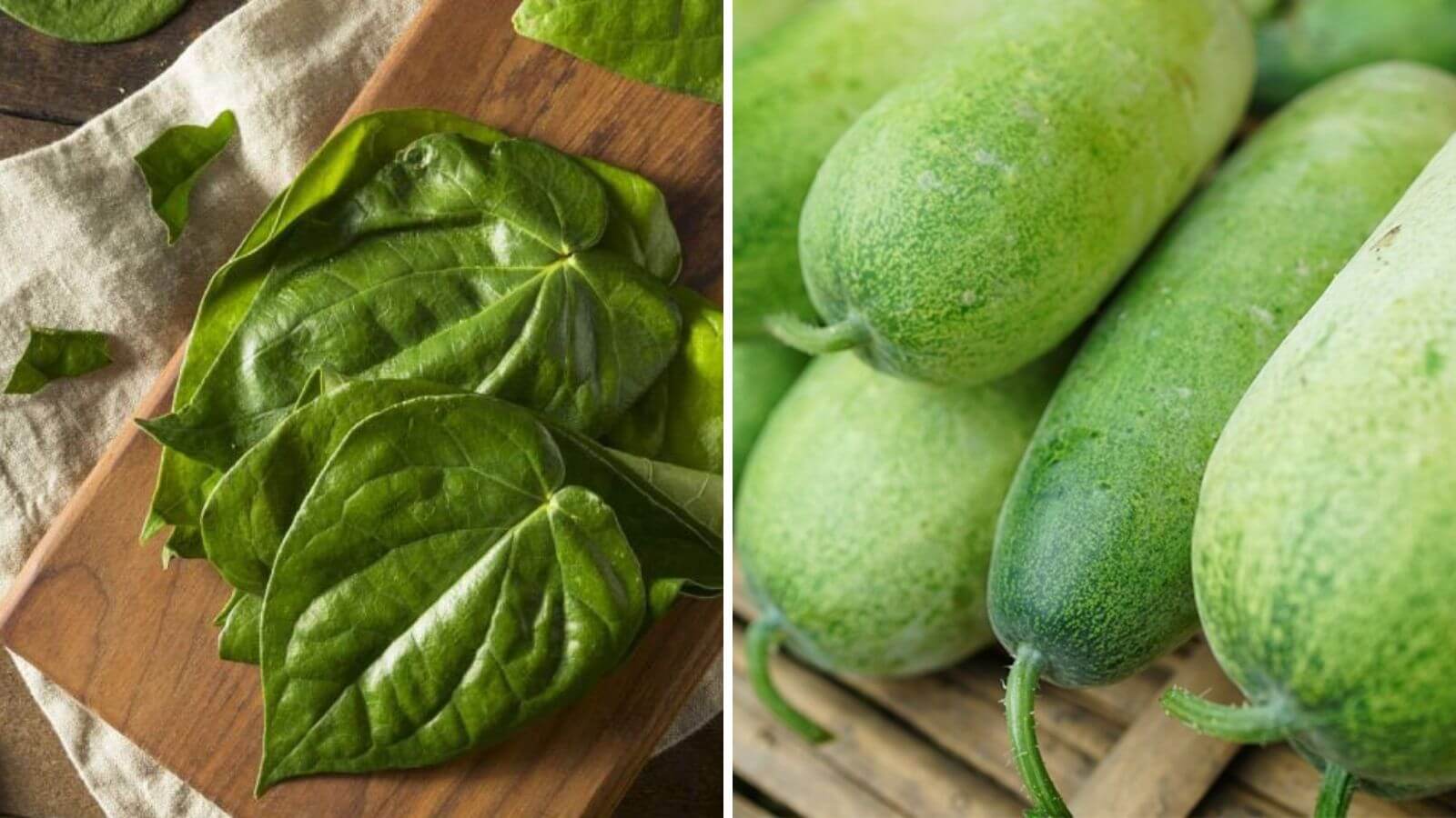 Điều trị viêm tuyến tiền liệt bằng các loại nguyên liệu trong thiên nhiên