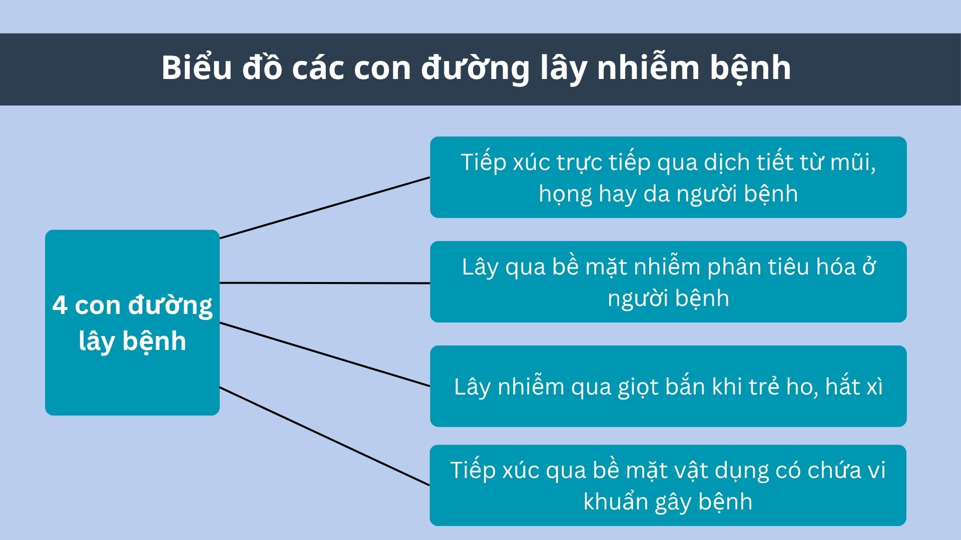Bệnh tay chân miệng có lây không? 4 con đường lây bệnh phổ biến