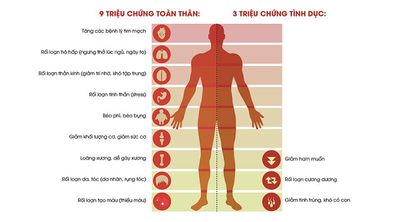 Biểu hiện của suy giảm hormone Testosterone ở nam giới