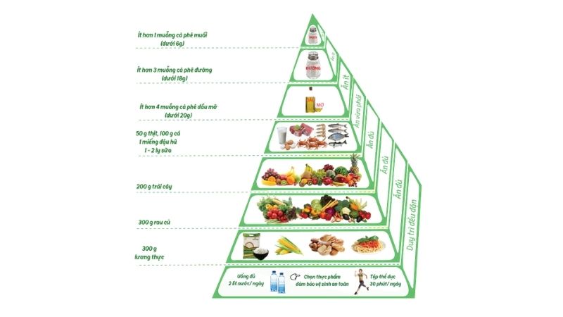 Tham khảo tháp dinh dưỡng để xây dựng chế độ dinh dưỡng hợp lý.