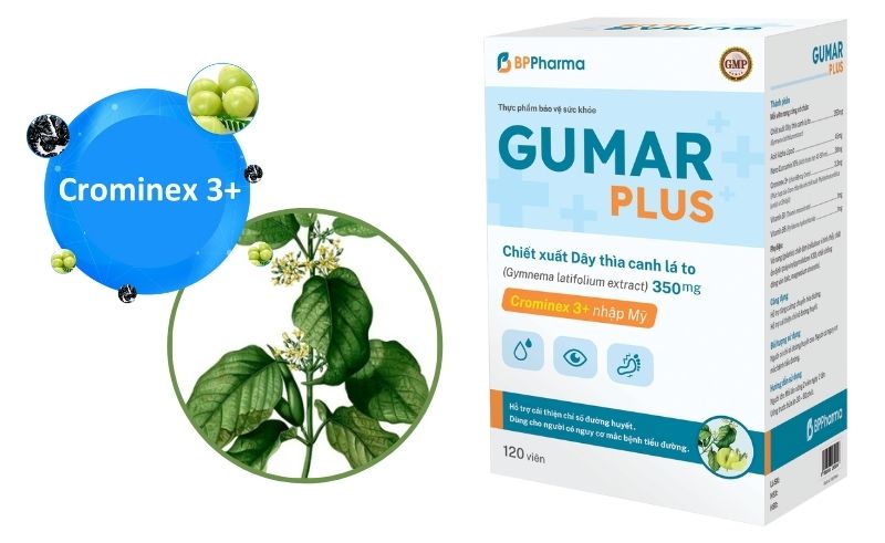 Thực phẩm chức năng Gumar Plus có chiết xuất từ thảo dược dây thìa canh là to điều trị tiểu đường hiệu quả