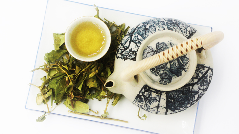 Cách dùng cây thìa canh chữa bệnh tiểu đường