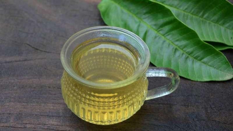 Các cách dùng lá ổi chữa tiểu đường