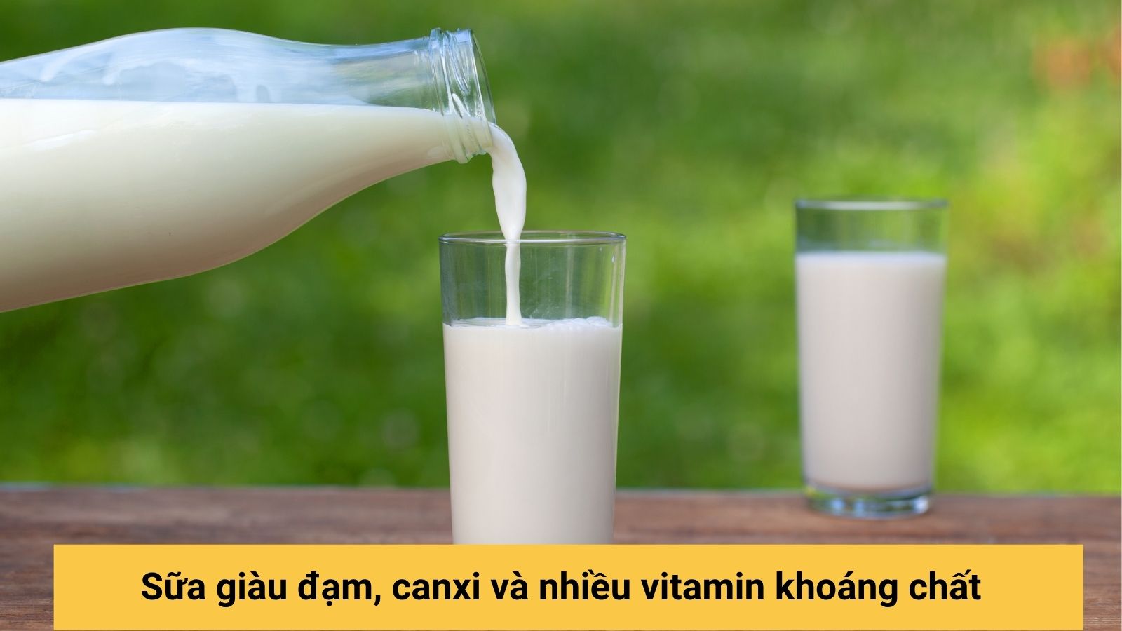 Uống 1-2 ly sữa mỗi ngày cung cấp nhiều dinh dưỡng thiết yếu