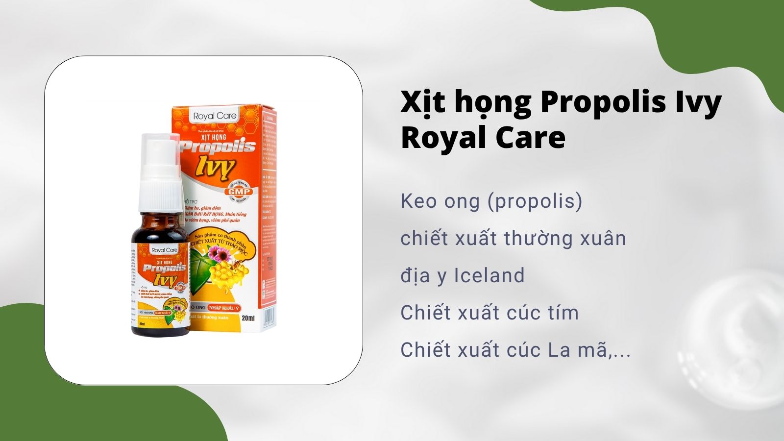 Xịt họng Propolis Ivy Royal Care