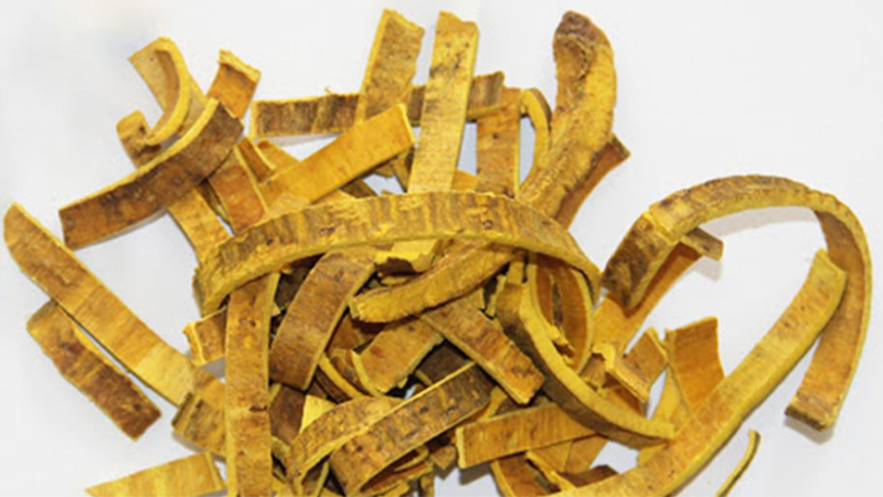 hoàng bá trị tiểu đường