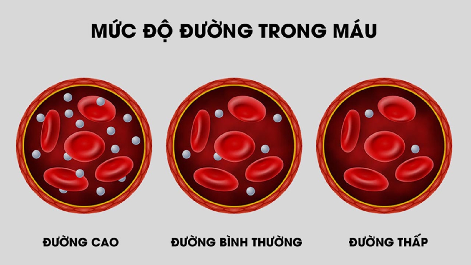 Chỉ số đường huyết: Ý nghĩa và cách kiểm soát trong điều trị bệnh tiểu đường