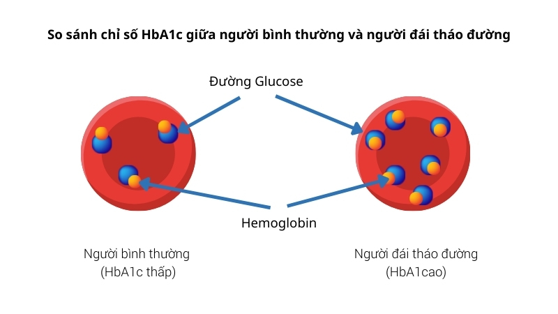 Chỉ số HbA1c là gì