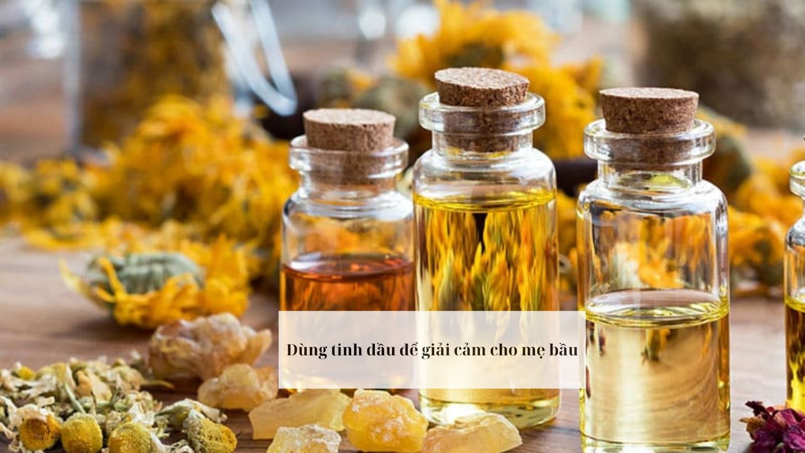 Sử dụng tinh dầu giúp giải cảm cúm cho bà bầu