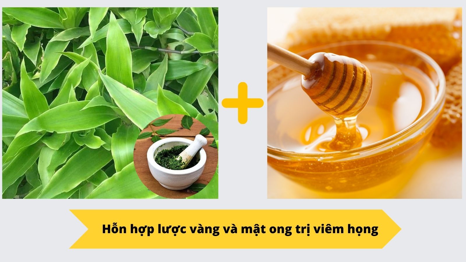Hỗn hợp lá lược vàng giã nát trộn với mật ong trị viêm họng