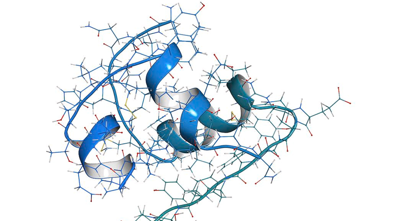 Đái tháo đường không phụ thuộc insulin