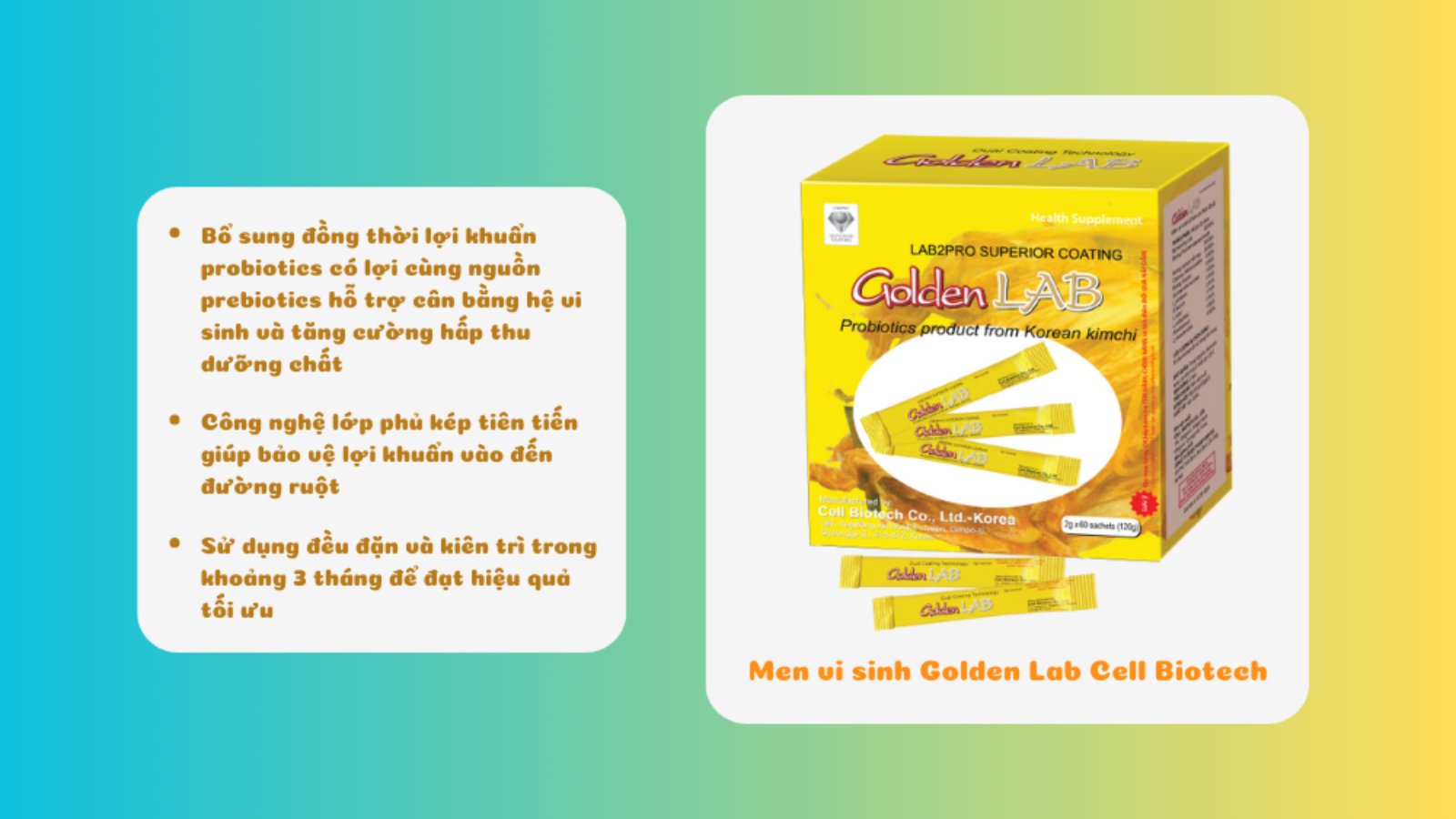 Men vi sinh Golden Lab