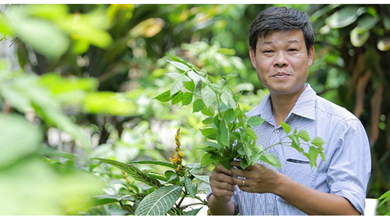 PGS.TS. Trần Văn Ơn là người nghiên cứu công dụng hạ đường huyết từ dây thìa canh