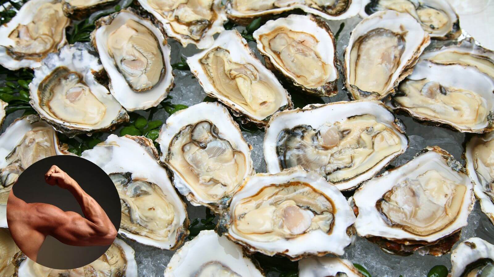 Thịt hàu - một trong những thực phẩm bổ thận tráng dương phổ biến nhất