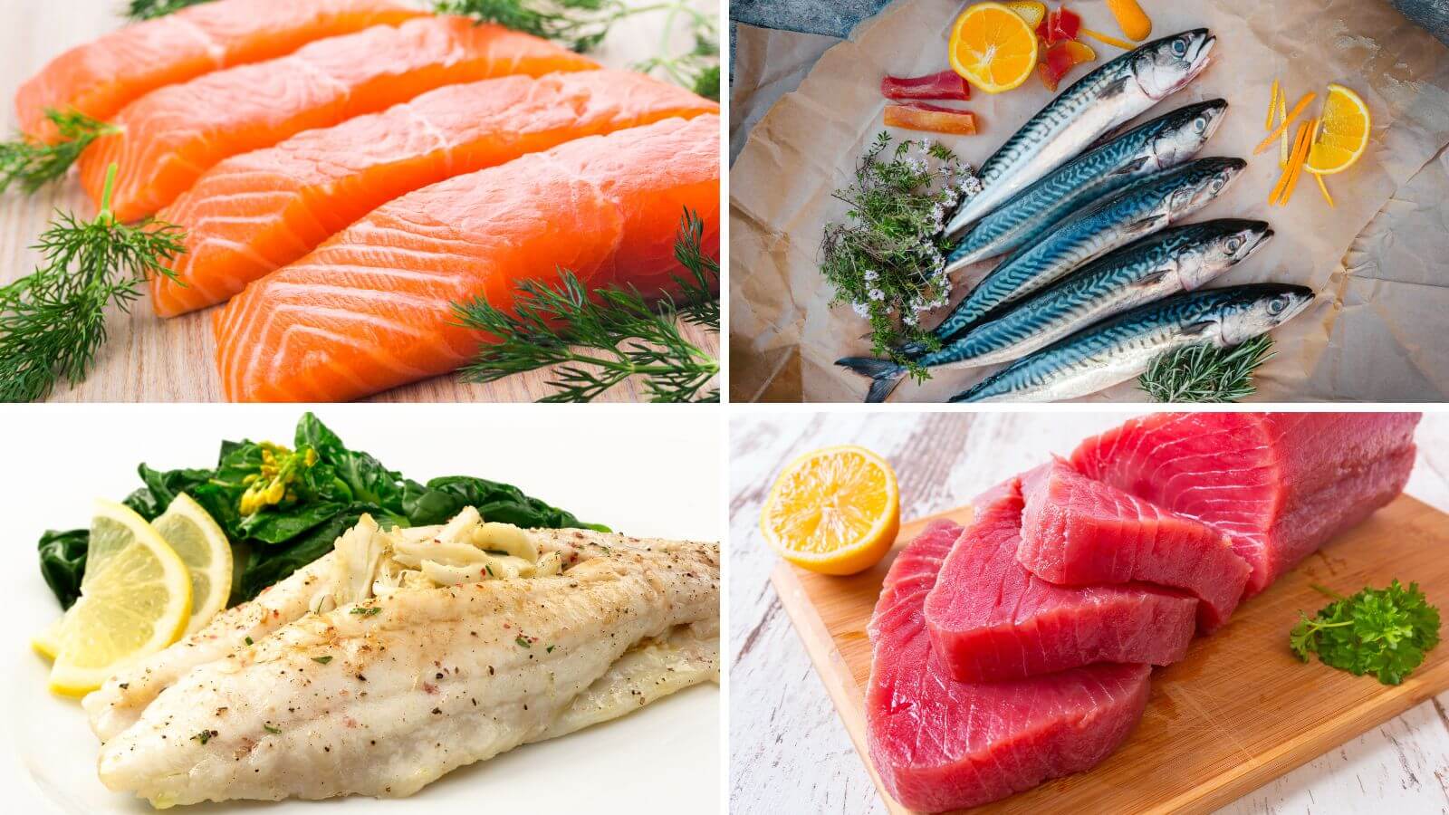 Mỗi tuần nên ăn ít nhất 2 lần các loại cá giàu chất béo có lợi
