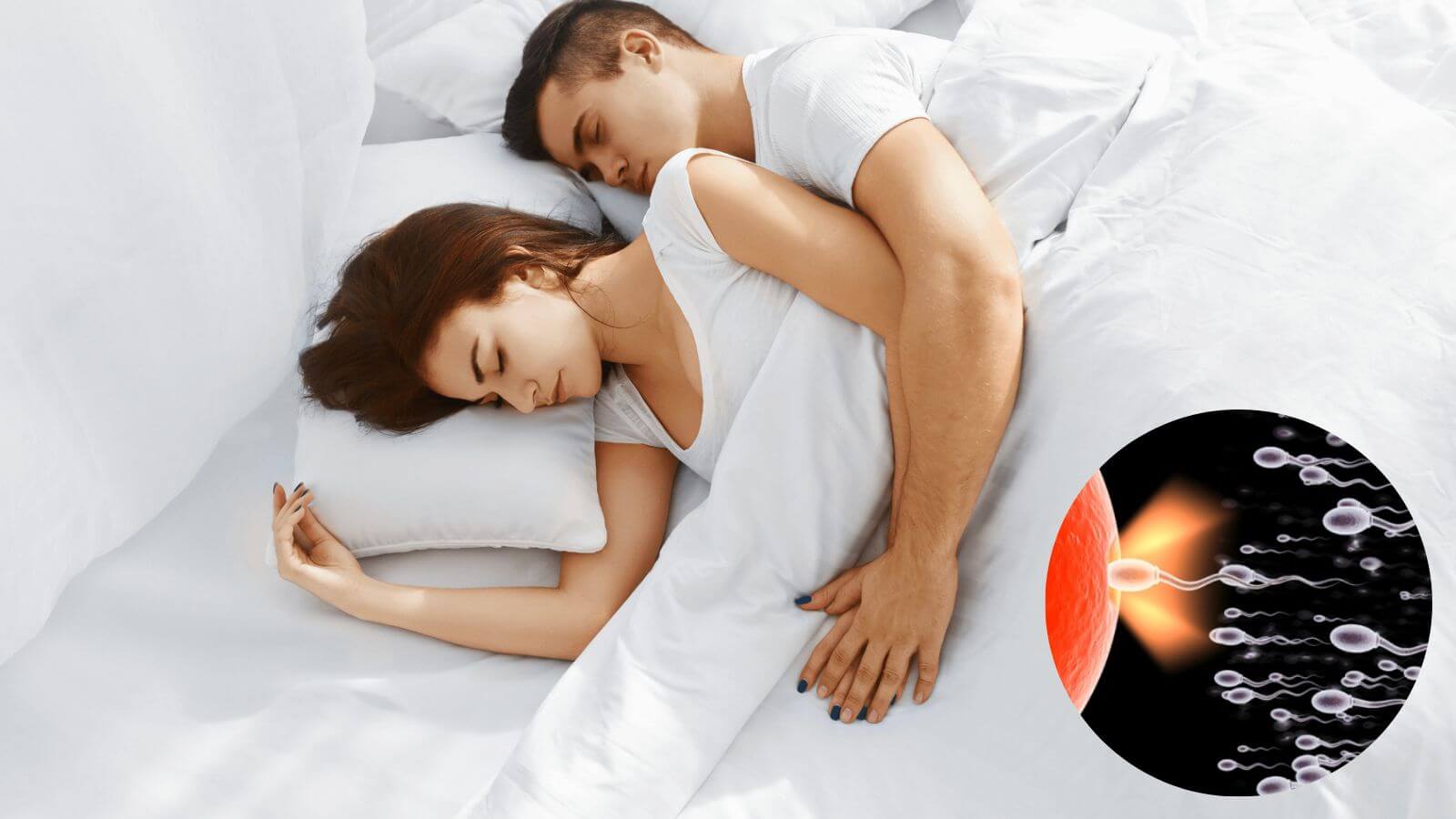 Sinh hoạt tinh dục 2 - 3 lần/tuần giúp cành mày râu cải thiện chất lượng tinh trùng