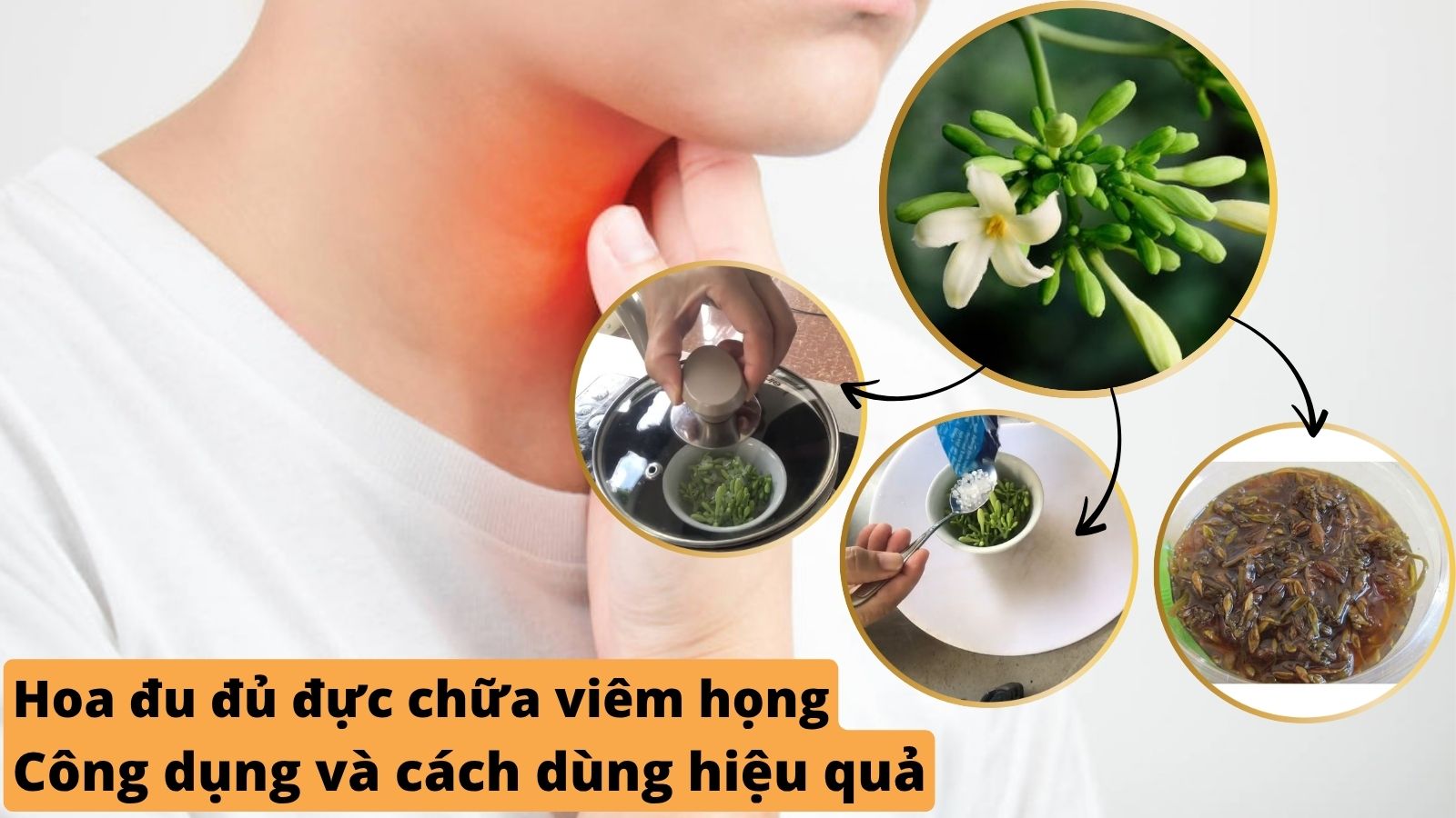 Hoa đu đủ đực chữa viêm họng: Công dụng và cách dùng hiệu quả