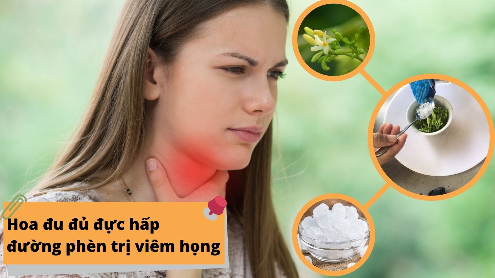 Hoa đu đủ được hấp đường phèn dùng khi viêm họng