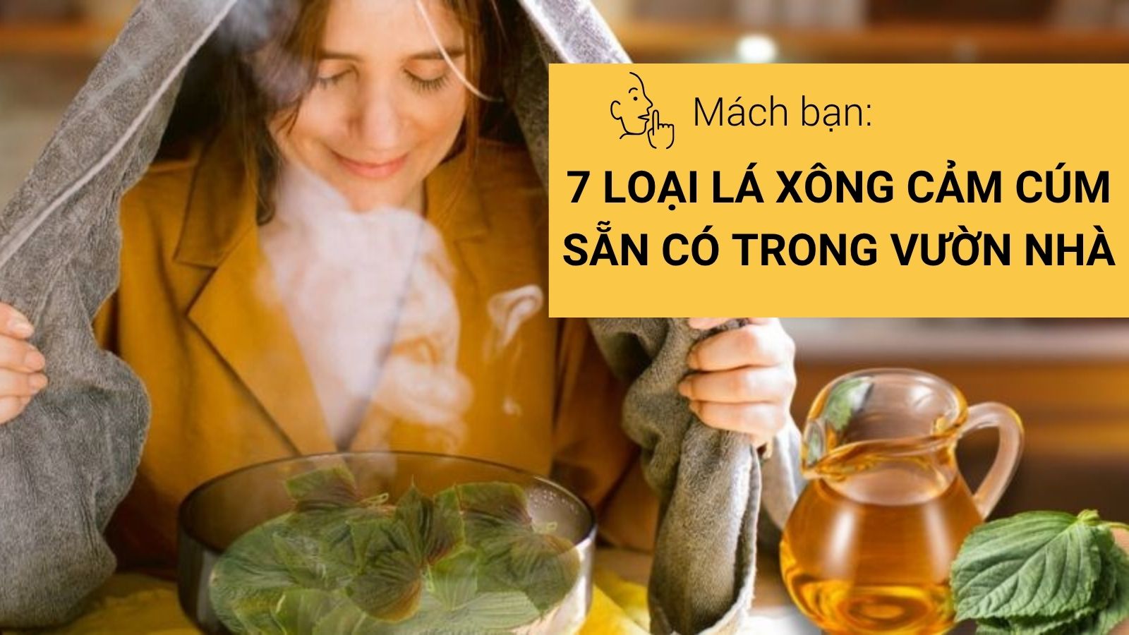 Mách bạn 7 loại lá xông cảm cúm sẵn có trong vườn nhà