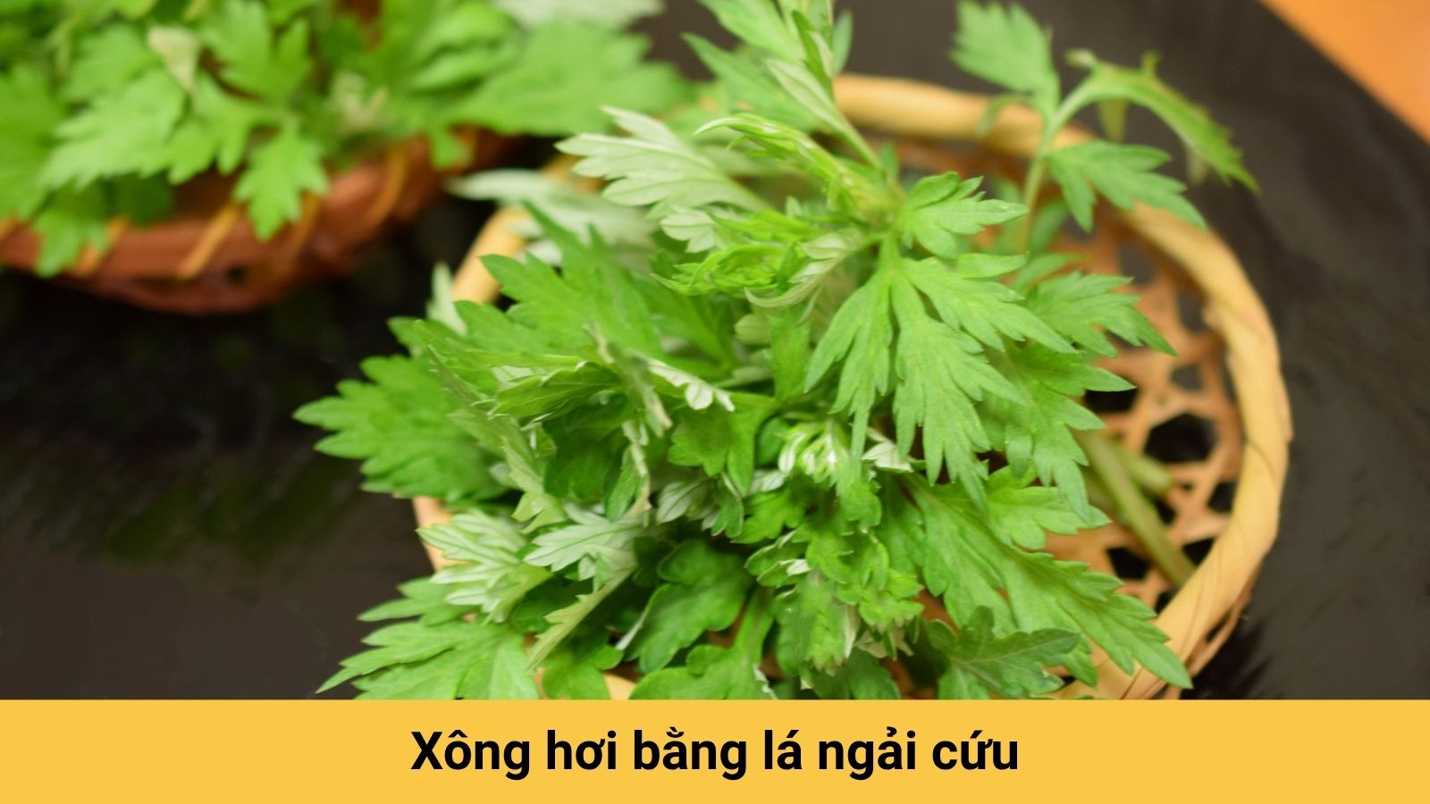 Lá ngải có khả năng lưu thông khí huyết, giảm đau đầu