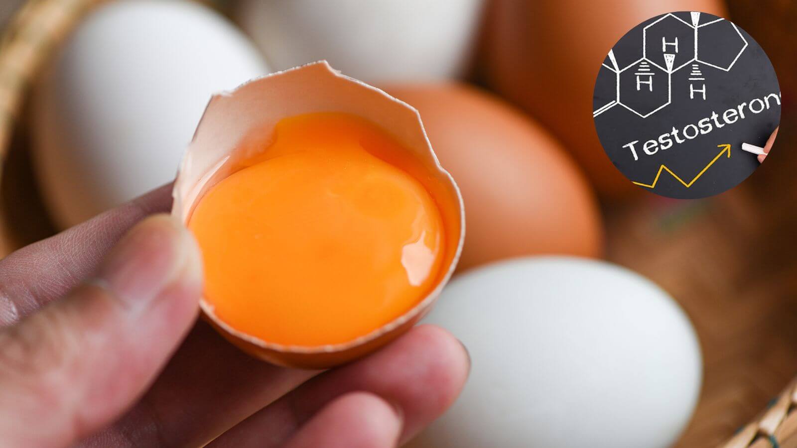 Lòng đỏ trứng cung cấp nhiều dưỡng chất cần thiết cho đàn ông