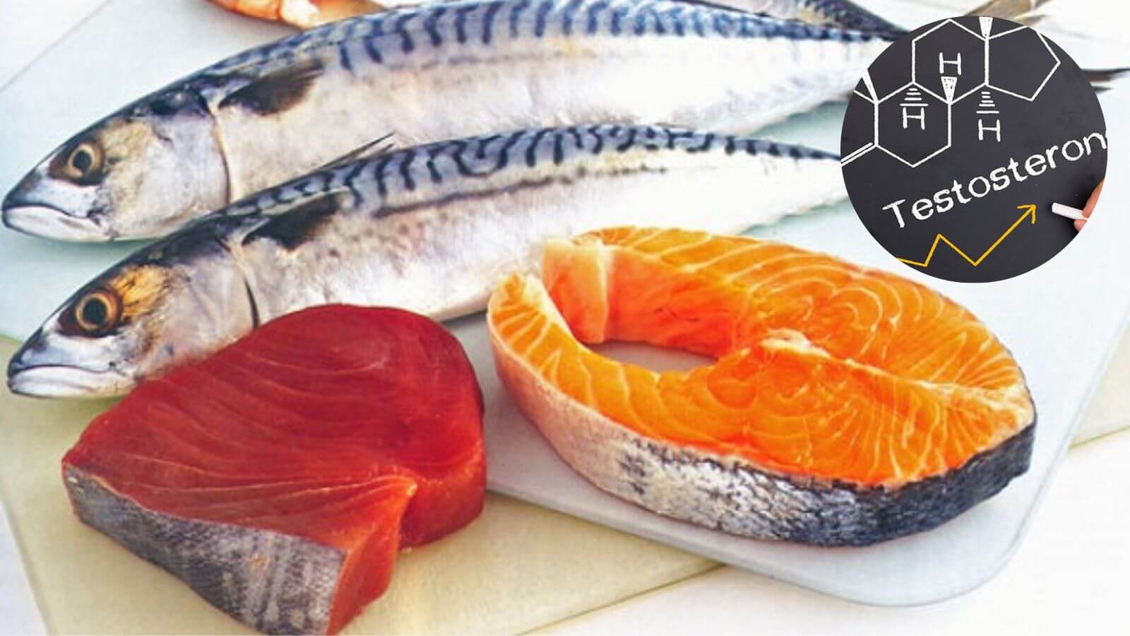 Một số loại cá béo giúp phái mạnh tăng nồng độ Testosterone