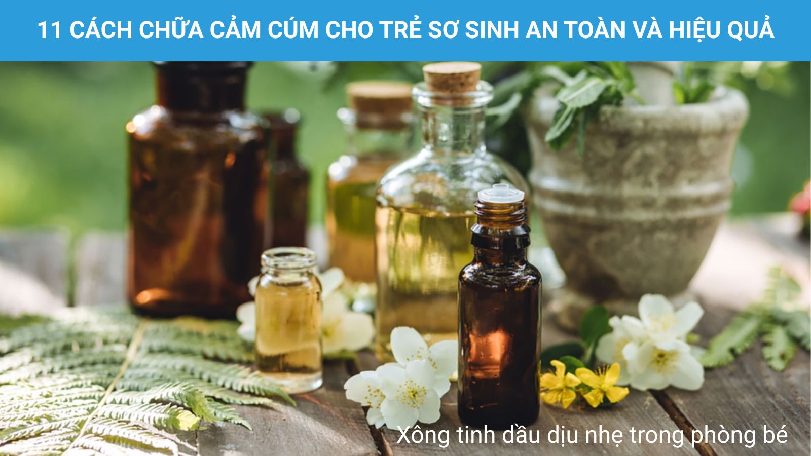 Chỉ nên lựa chọn các loại tinh dầu dịu nhẹ cho trẻ sơ sinh