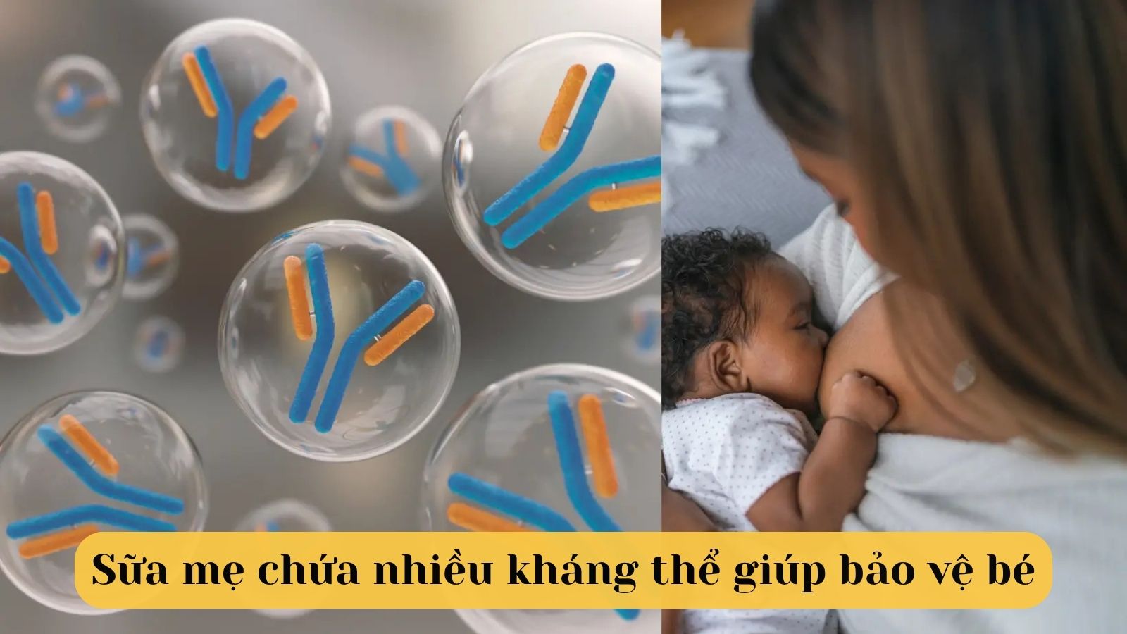 Sữa mẹ chứa nhiều kháng thể giúp bảo vệ bé