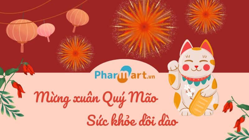 Mừng xuân Quý Mão, sức khỏe dồi dào với quà Tết sức khỏe từ Pharmart.vn