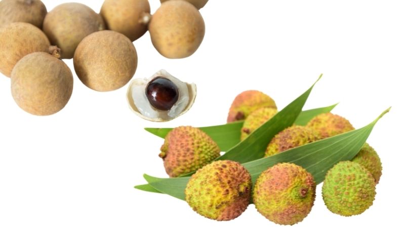 Nhãn và vải rất ít chất xơ nhưng lại chứa hàm lượng đường lớn tương đương 1 bát cơm trắng.