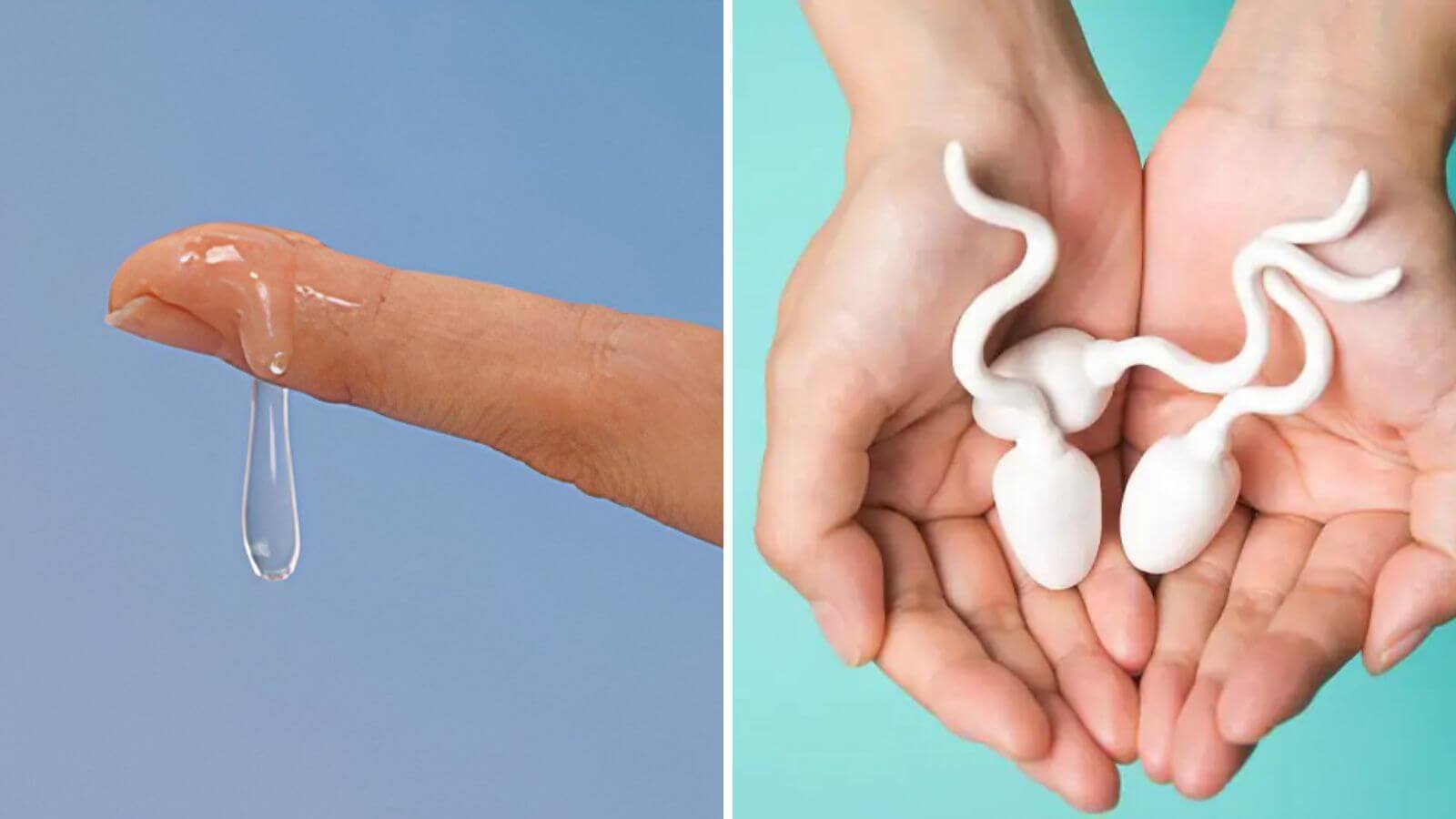 Tinh trùng được đánh giá khoẻ mạnh, bình thường là khi có màu trắng đục hoặc trắng trong