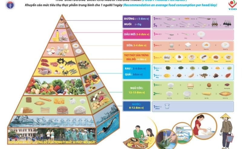 Tháp dinh dưỡng theo hướng dẫn của Bộ y tế.