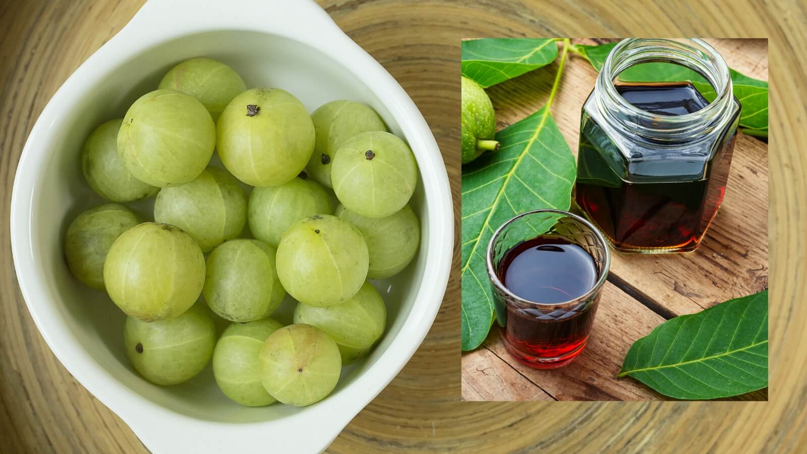 Me rừng có thể đem ngâm rượu