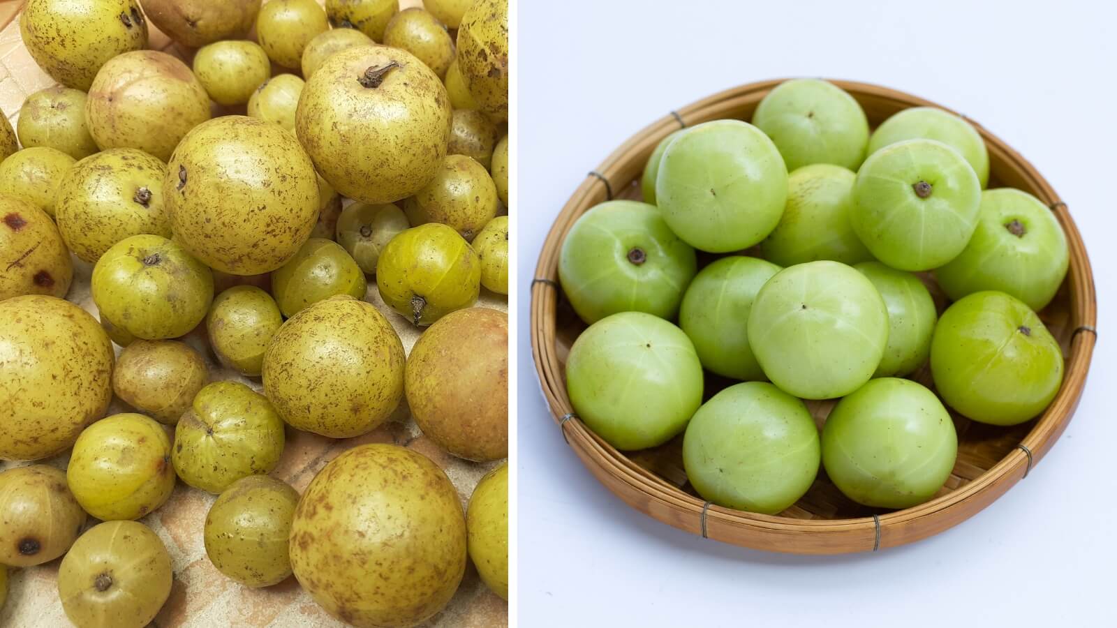 Me rừng chín và xanh được bán rất nhiều tại Việt Nam