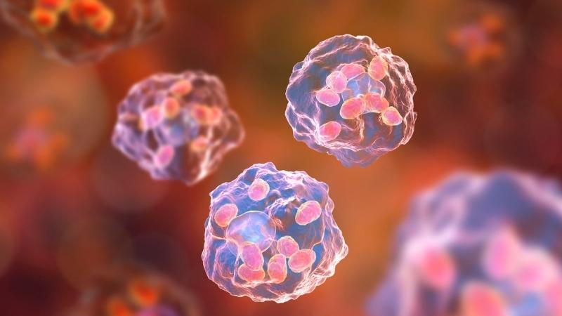 Người mắc đái tháo đường rất dễ bị nhiễm trùng hoặc nấm