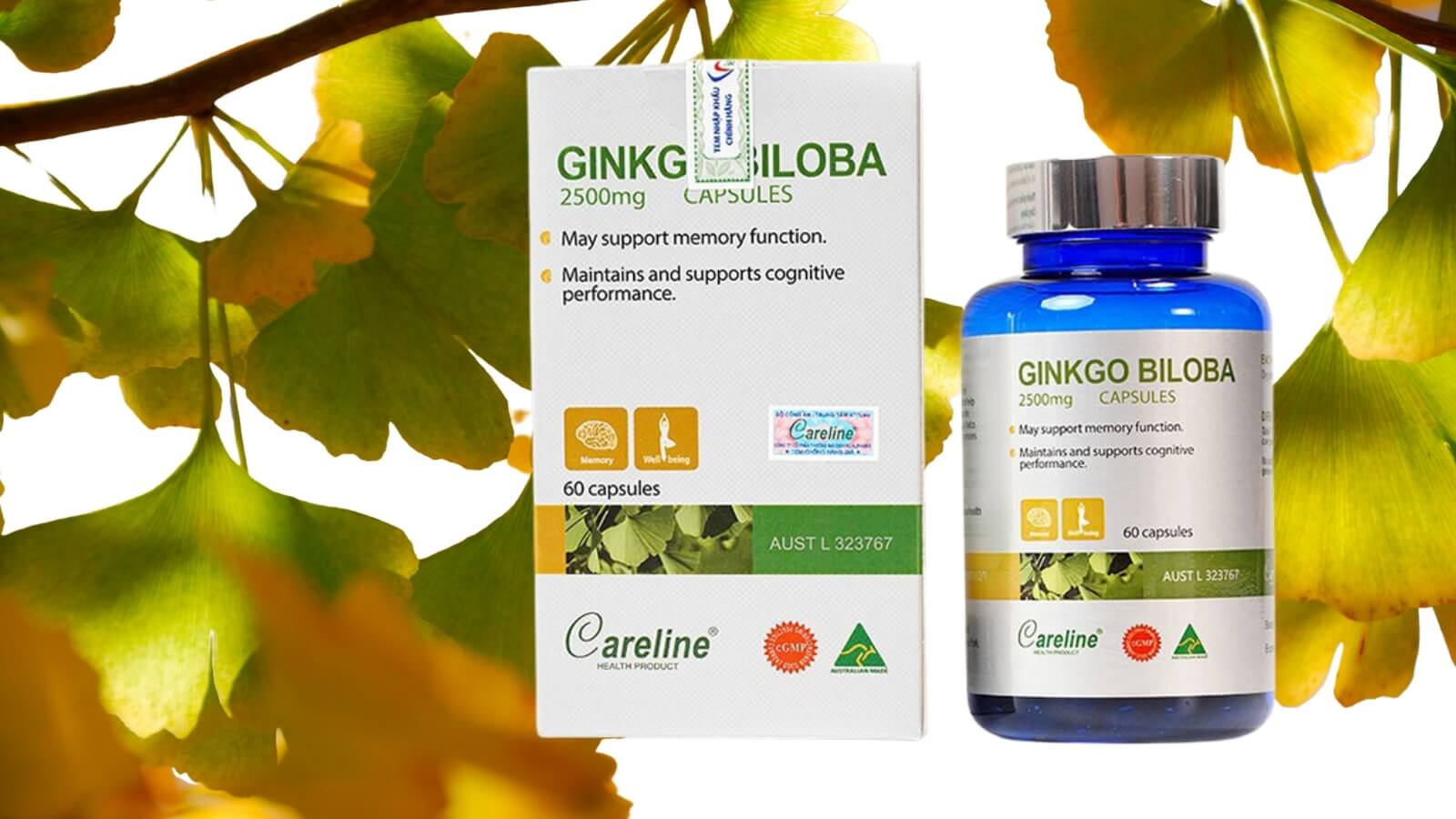 Careline Ginkgo Biloba 2500mg - Bổ não, tăng tuần hoàn máu não