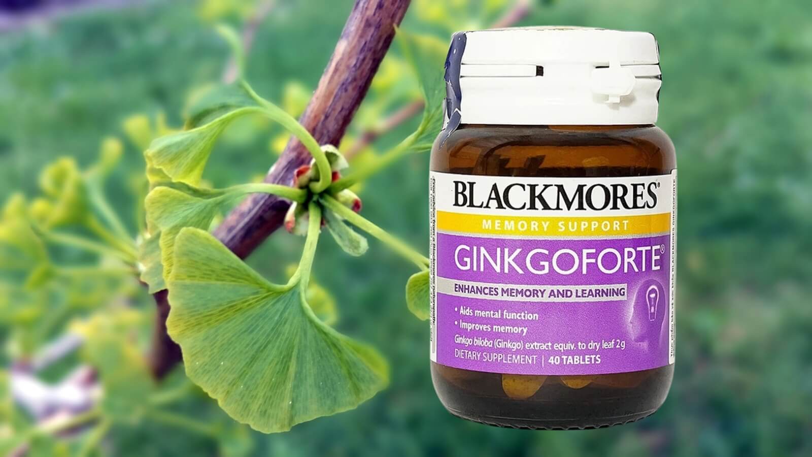 Viên uống bổ não Blackmores Ginkgo Forte