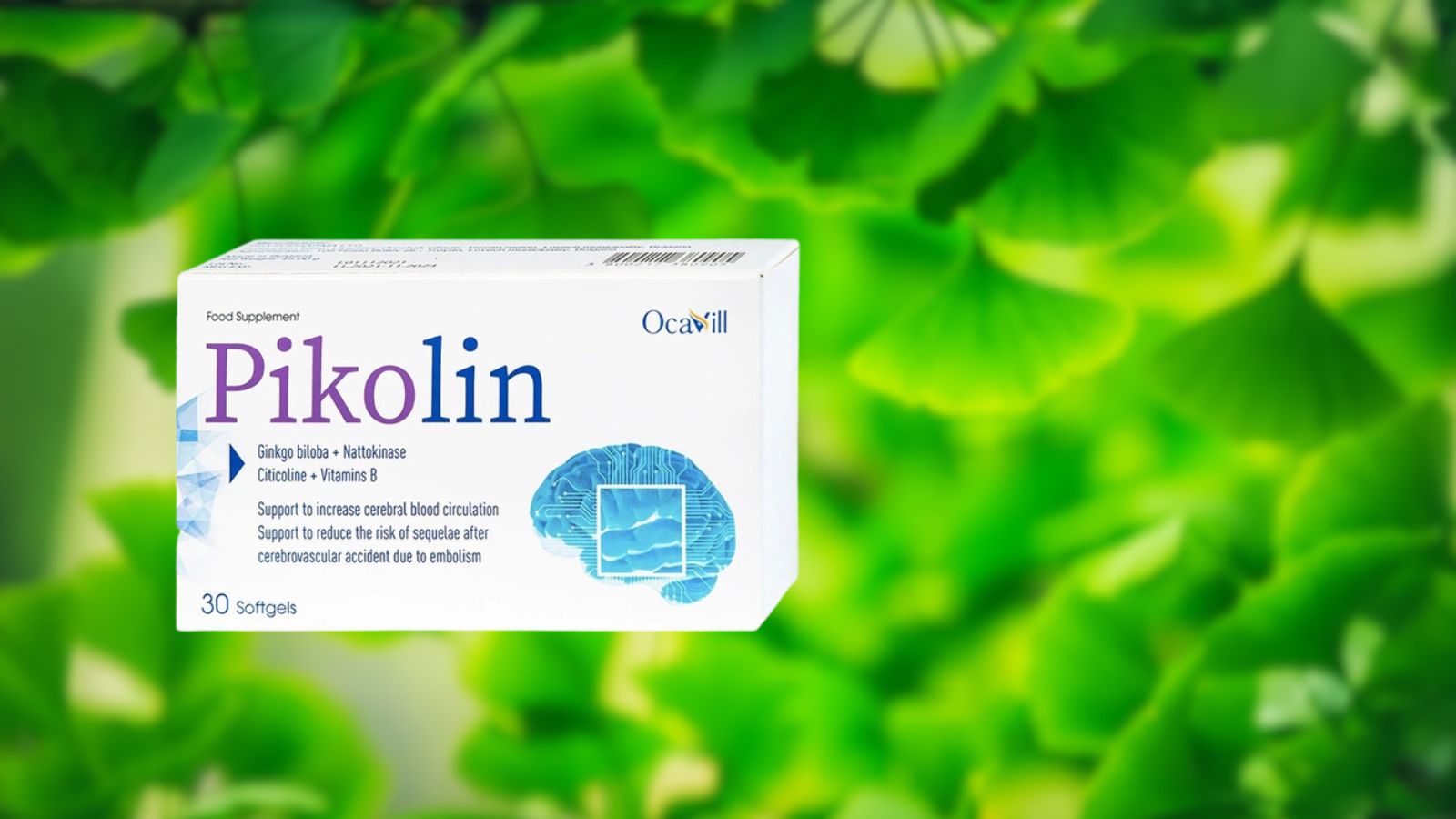 Pikolin Ocavill - Thuốc Ginkgo Biloba bổ não