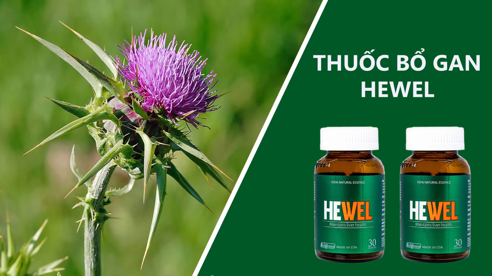 Thực phẩm bảo vệ sức khỏe Hewel&nbsp;