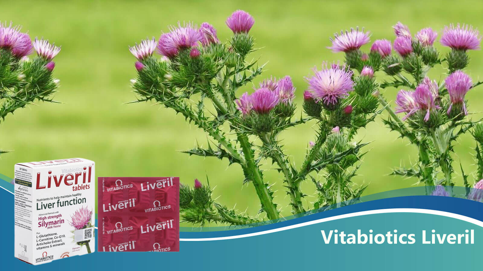 Vitabiotics Liveril