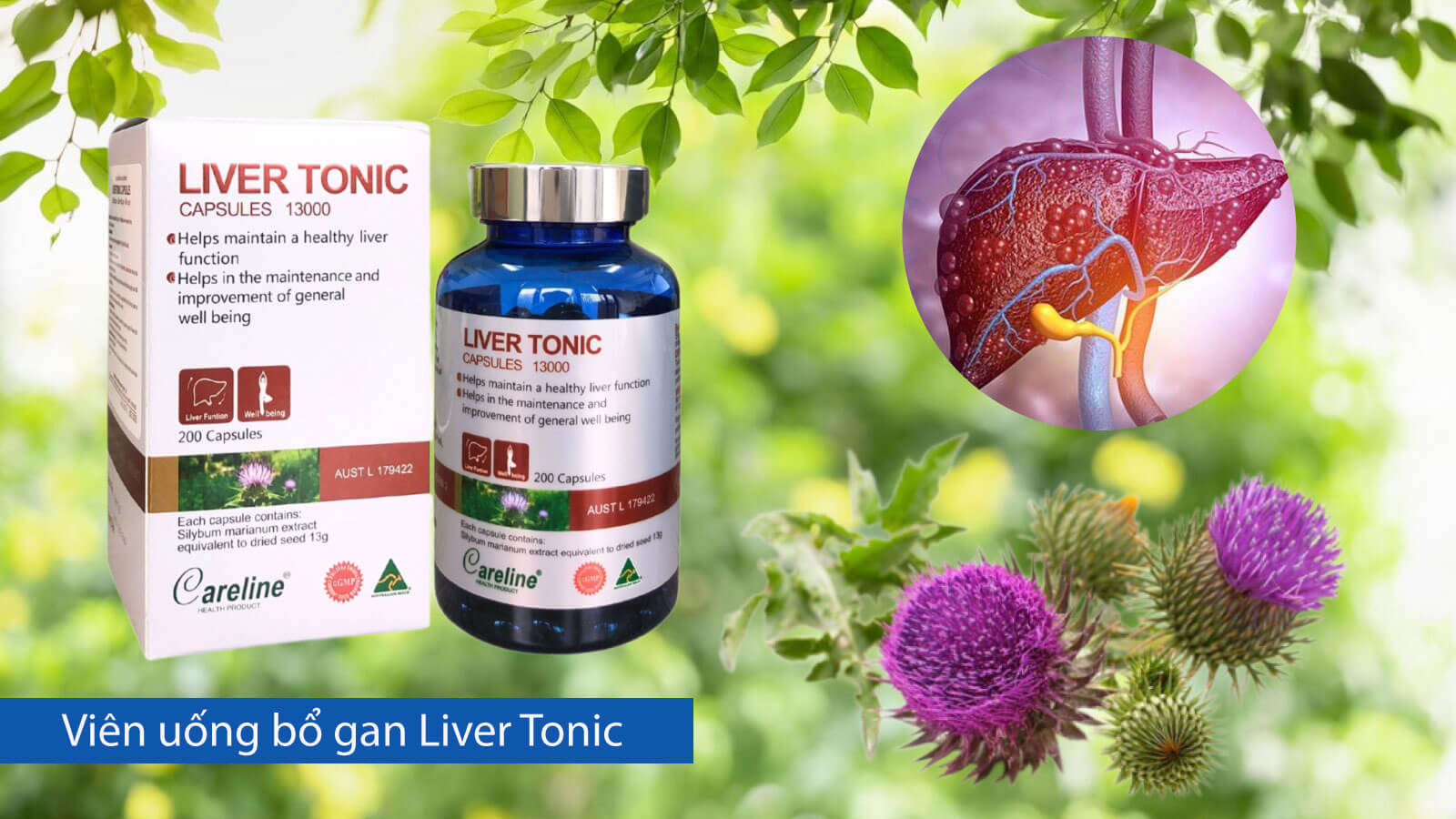Vi&ecirc;n uống bổ gan Silymarin Liver Tonic