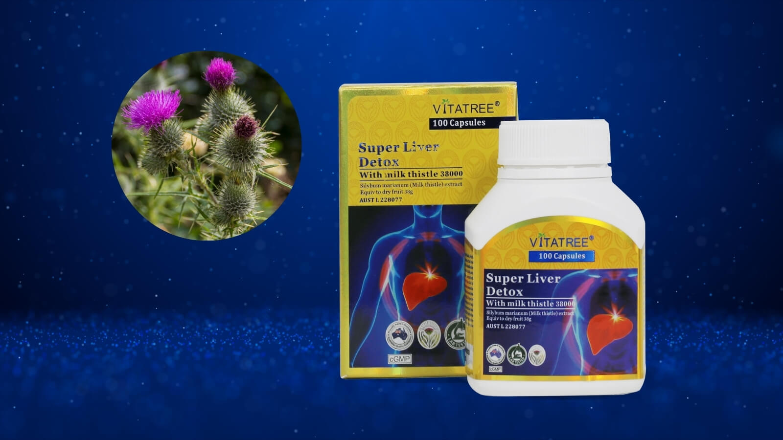 Vitatree Super Liver Detox có hàm lượng kế sữa khá cao