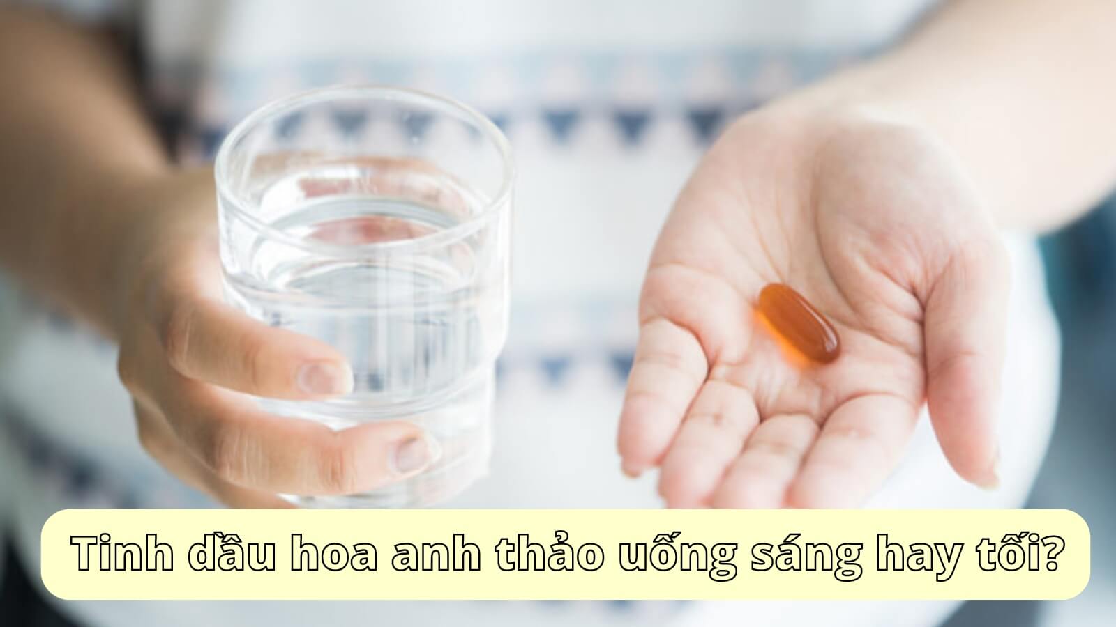 Tinh dầu hoa anh thảo uống vào buổi sáng hay buổi tối?