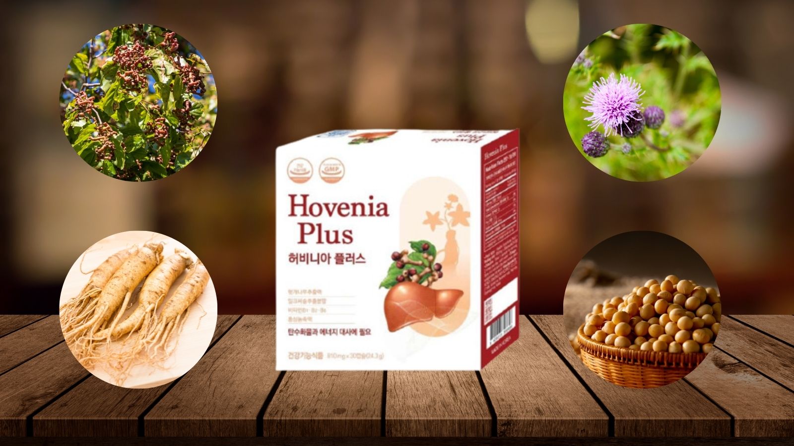 Hovenia Plus giúp gan khỏe mạnh